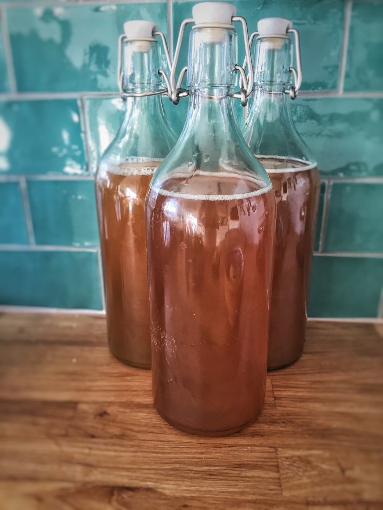 kombucha, probiotics, blog, foodie, health