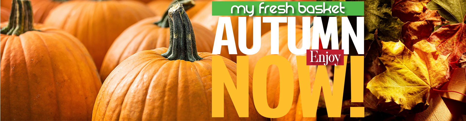 Home My Fresh Basket